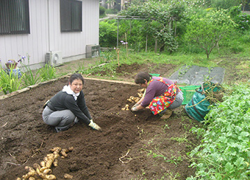 田舎暮らし6